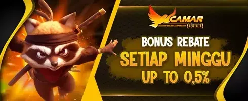VIP Weekly Rebate Cashback screenshot